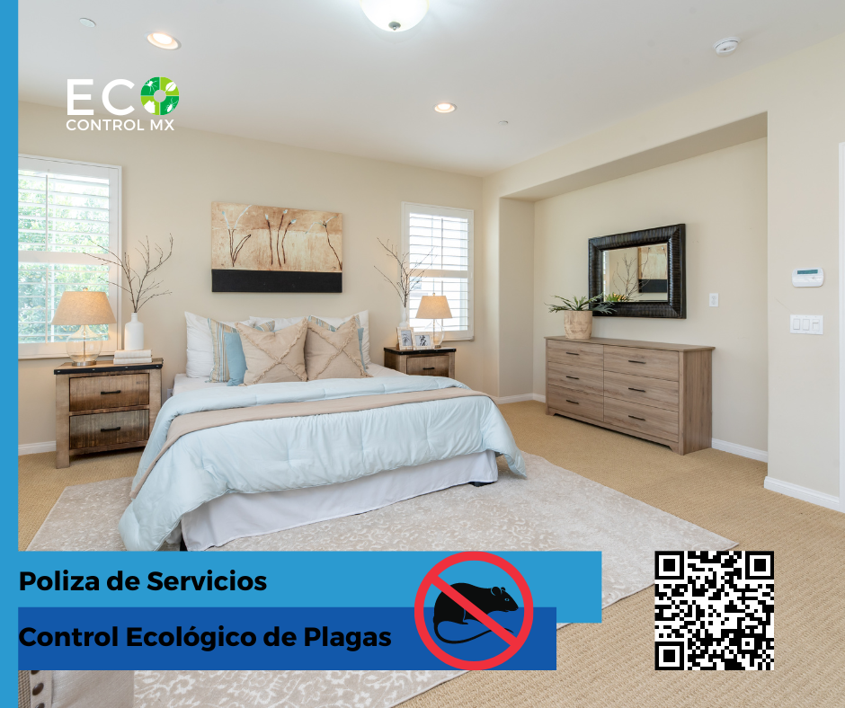 Control de Plagas Residencial
